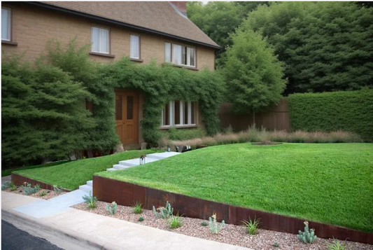 Garden-steel-edging-6-things-to-consider-2024