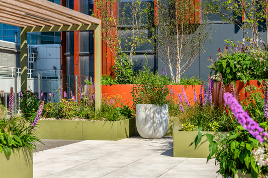 7-Best-Ways-to-Bring-Colour-into-Your-Garden-Design GEO