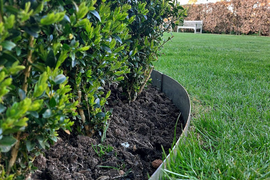 Is Garden Edging Really Worth It?