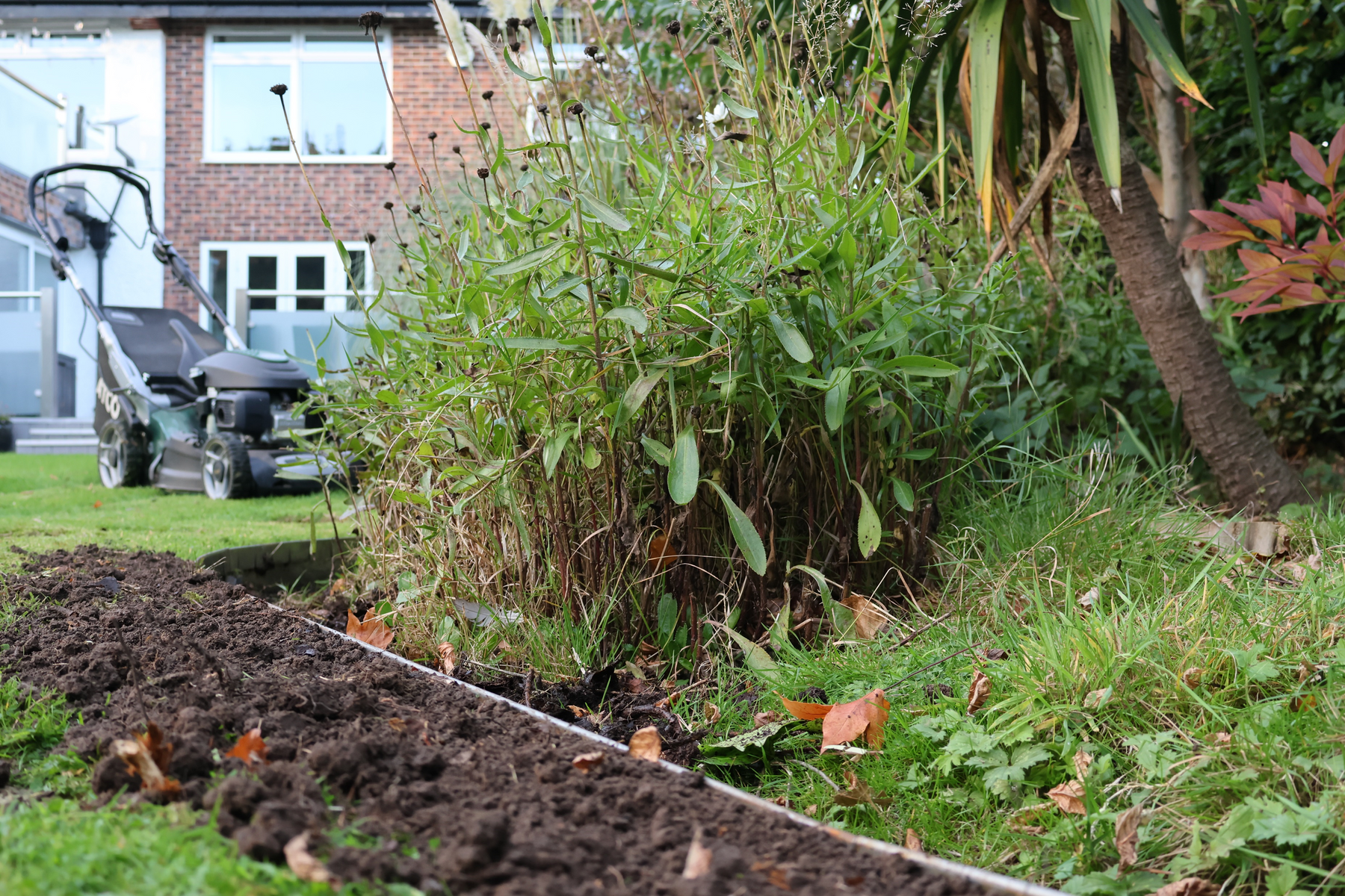 Corten vs Mild Steel Garden Edge – Do The Differences Matter?