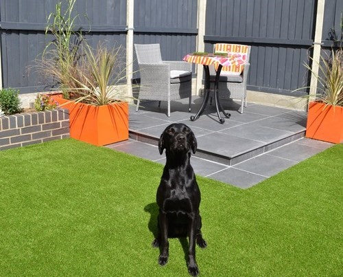 Child-and-Pet-friendly-Gardens-8-things-to-consider GEO