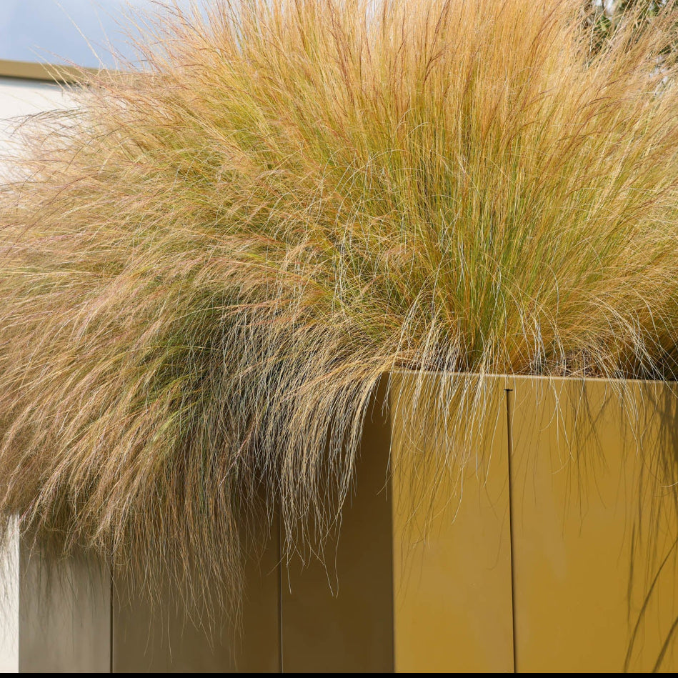 Contain Garden Planter - Square Planter Tub GEO