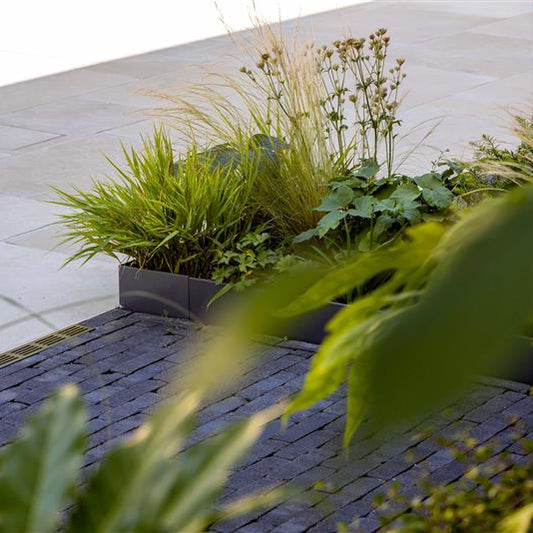 Groundline - Edge height 50mm GEO