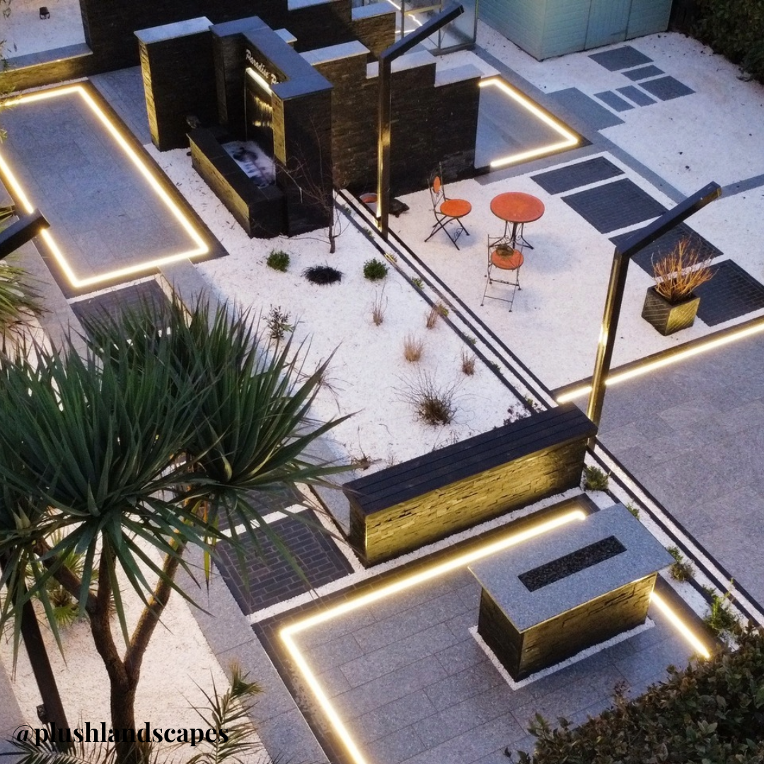 Paradise Palms